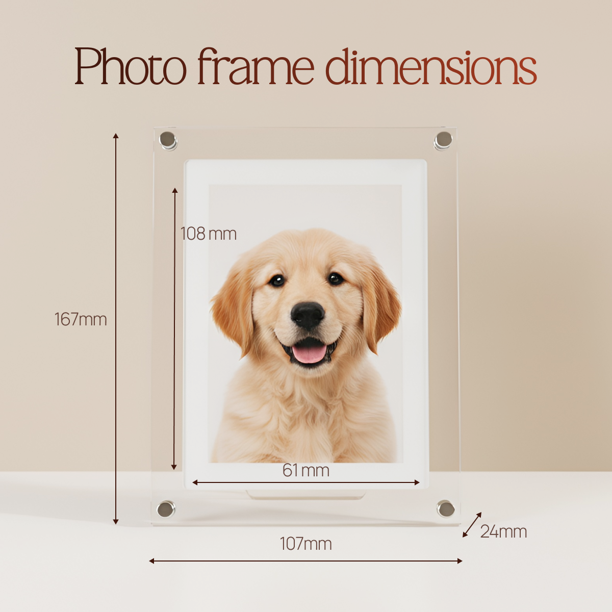 Digital Photo & Video Frame By SERENE PETALS