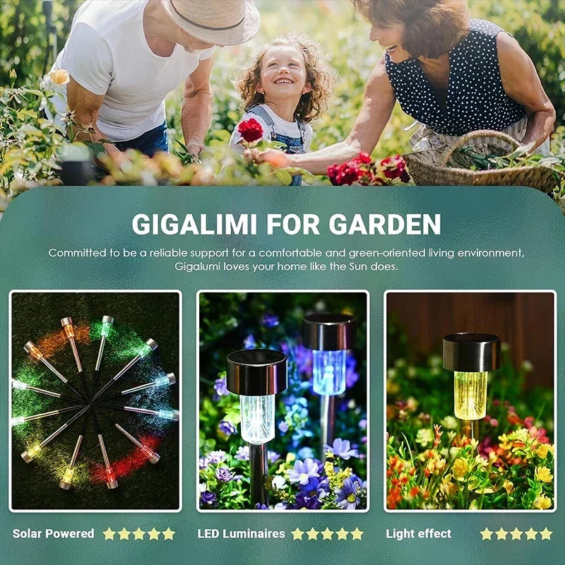 🟢 Outdoor Decor Lights