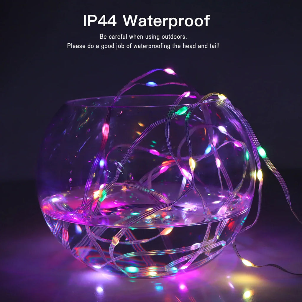 Bluetooth Dreamcolor LED String Lights